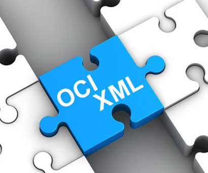 Datenschnittstellen / Datenzugriff via Concerto Webservice