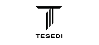 Logo Tesedi