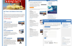 Concerto Logo-Jagd / Einzel-Newsletter, Wettbewerbsseite und Teilnahmeseite