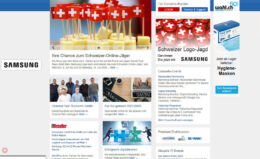 Concerto Logo-Jagd / Startseite mit Logo, Rectangle und Auszug des Bekanntmachungsbeitrages